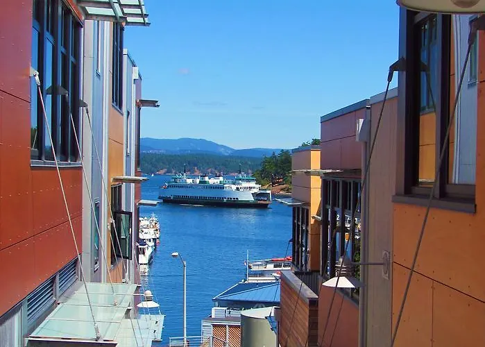 Island Inn At 123 West
